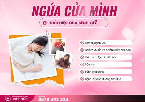 Ngứa cửa mình 8