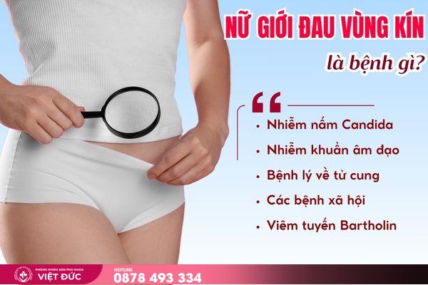 đau vùng kín 2 Đau vùng kín ở nữ giới là bệnh gì?