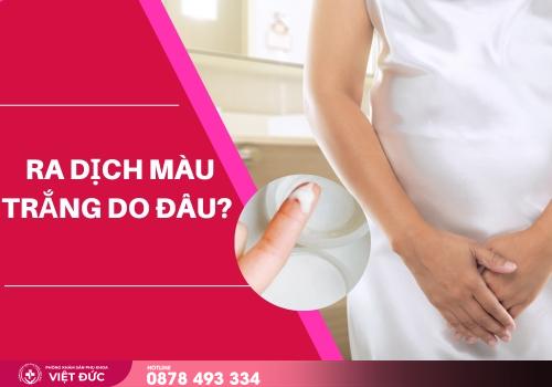 dịch màu trắng 2